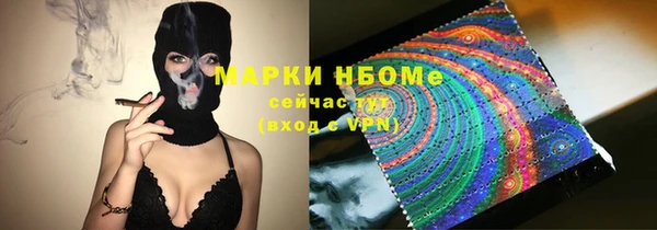 ПСИЛОЦИБИНОВЫЕ ГРИБЫ Гусев