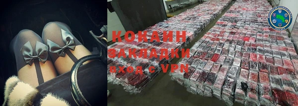 ПСИЛОЦИБИНОВЫЕ ГРИБЫ Гусев