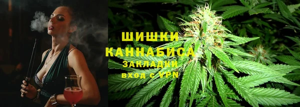 ПСИЛОЦИБИНОВЫЕ ГРИБЫ Гусев