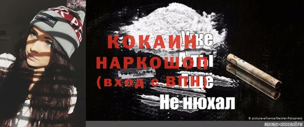 СК Дмитровск
